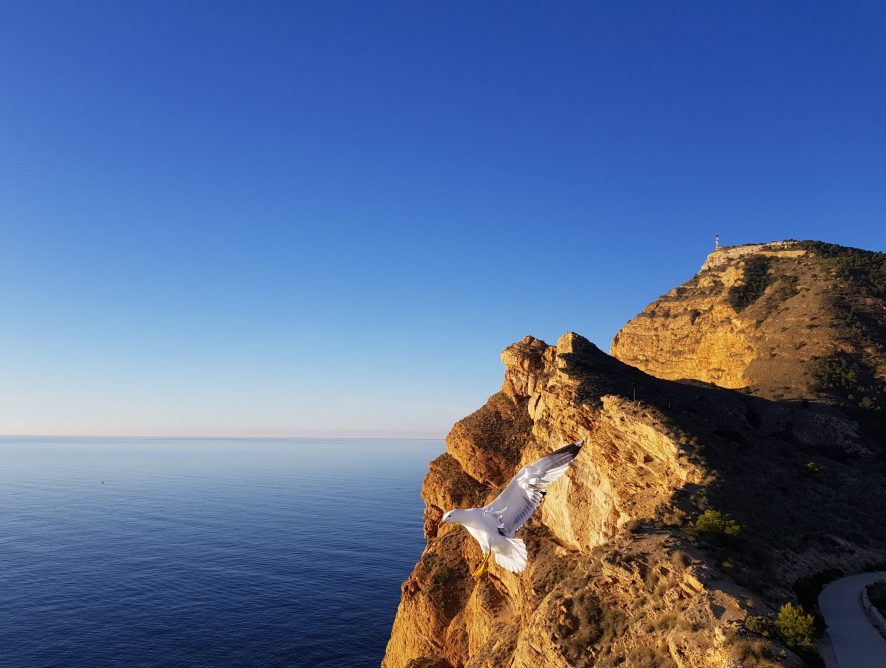 About moving to Spain