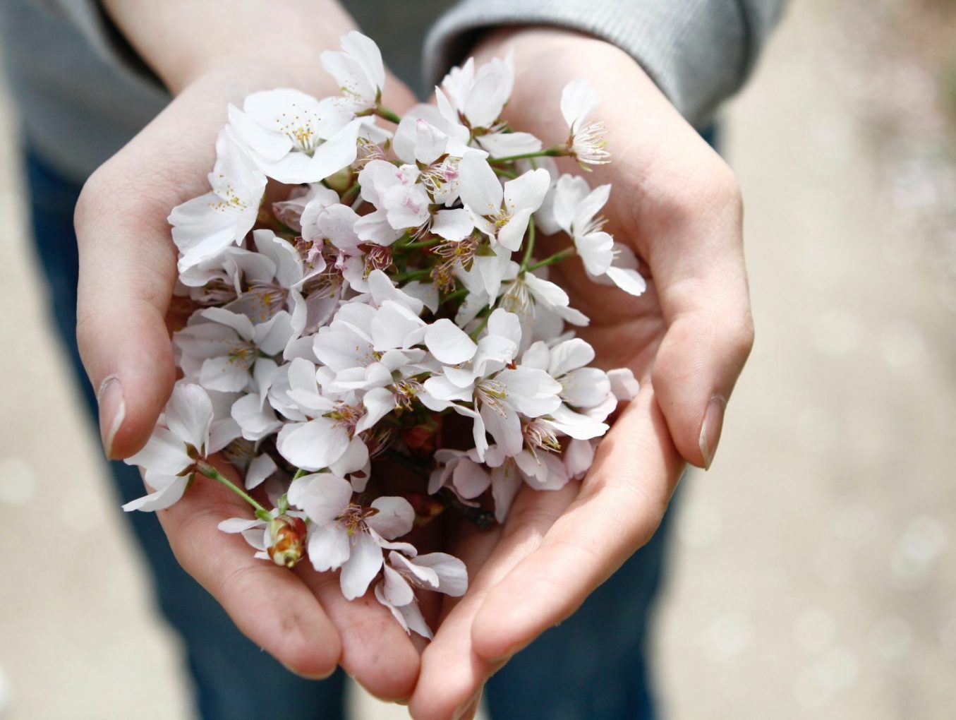 About generosity