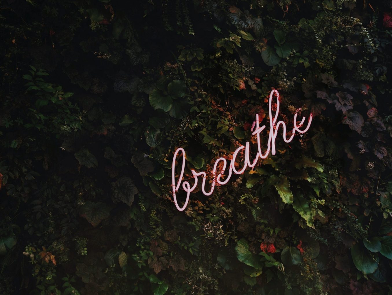 About becoming and being
