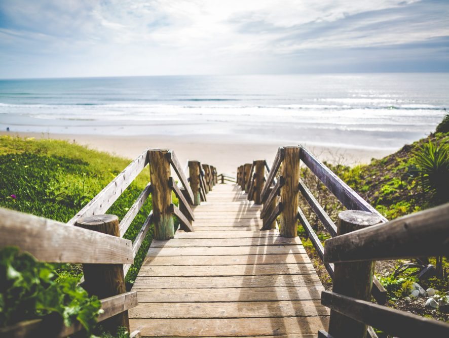 About being a fellow traveler