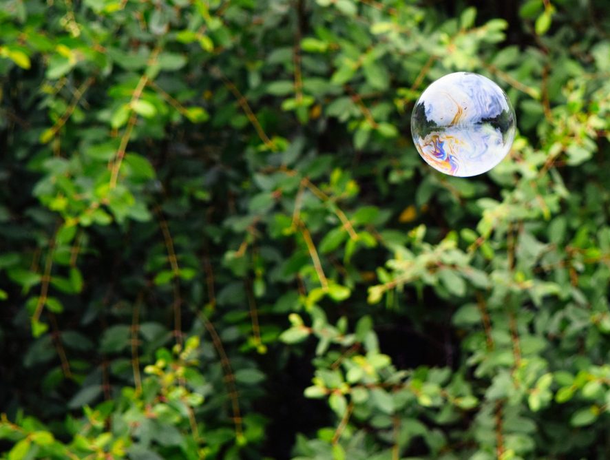 Virtual Reality and our bubble